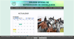 Desktop Screenshot of colvetguadalajara.es