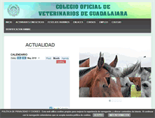 Tablet Screenshot of colvetguadalajara.es